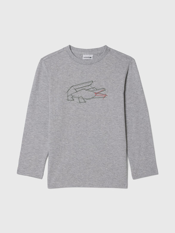Gray long sleeve blouse - 0